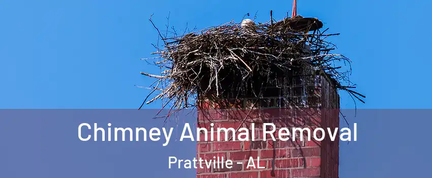 Chimney Animal Removal Prattville - AL