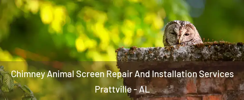  Chimney Animal Screen Repair And Installation Services Prattville - AL