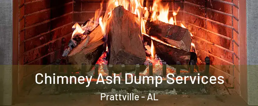  Chimney Ash Dump Services Prattville - AL