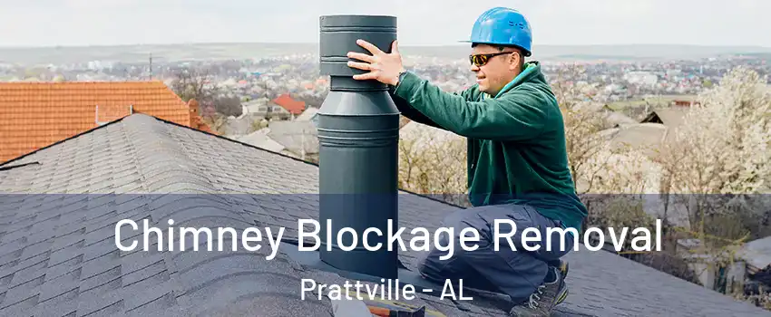  Chimney Blockage Removal Prattville - AL