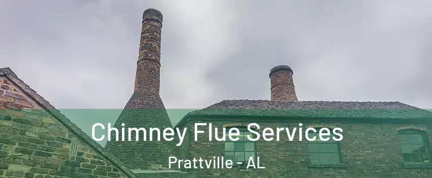 Chimney Flue Services Prattville - AL