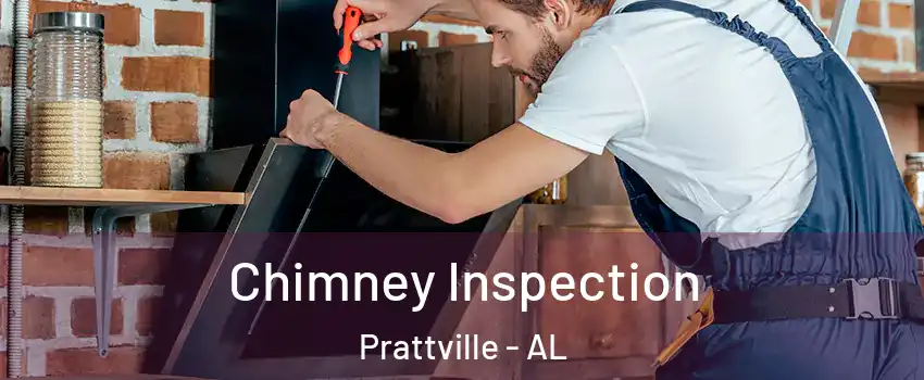  Chimney Inspection Prattville - AL