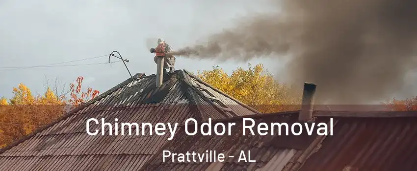  Chimney Odor Removal Prattville - AL