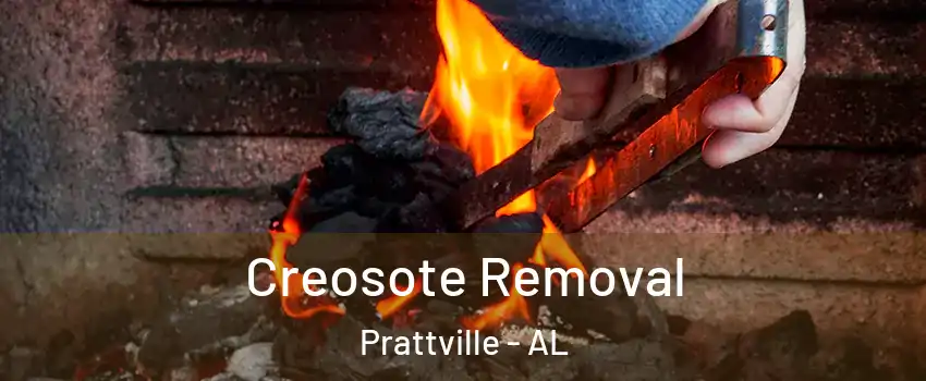  Creosote Removal Prattville - AL