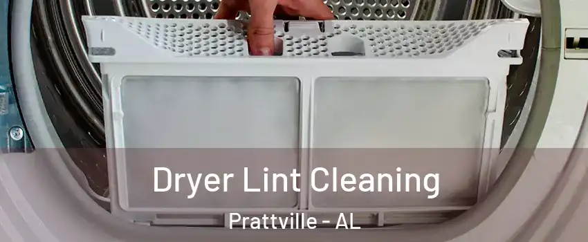  Dryer Lint Cleaning Prattville - AL