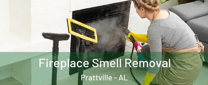  Fireplace Smell Removal Prattville - AL