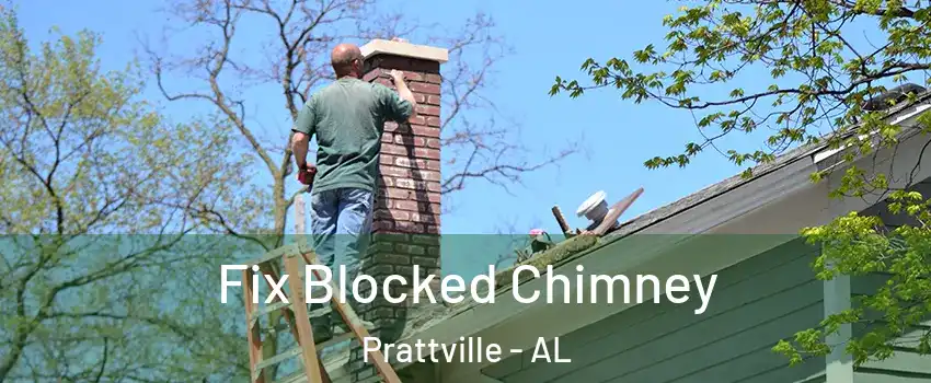  Fix Blocked Chimney Prattville - AL
