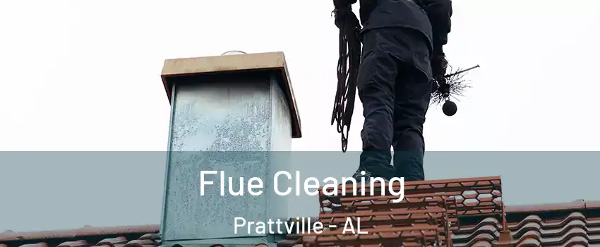  Flue Cleaning Prattville - AL