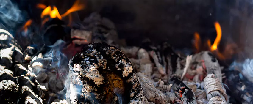 Creosote Removal Experts in Prattville, AL