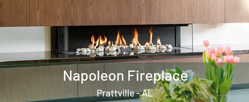  Napoleon Fireplace Prattville - AL