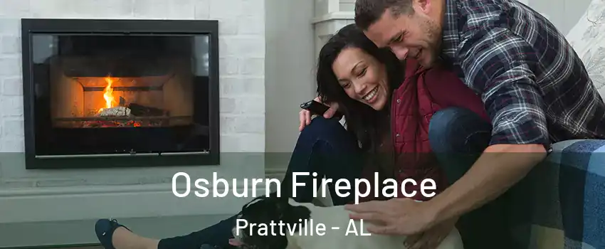  Osburn Fireplace Prattville - AL